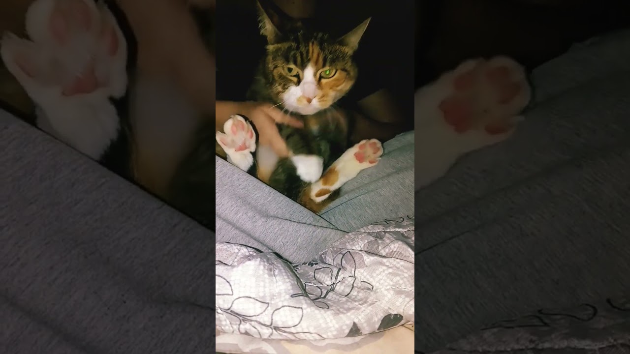 напишите в комментариях МУУУУУУУУРААААААААА!!!!!!! и попадёте в следующее видео