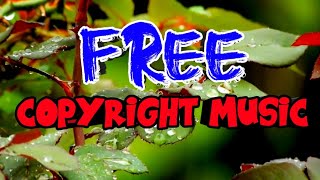 Mike Leite - Happy/ Free Copyright Music/No Copyright Music /Vlog No Copyright Music/Vlog Music