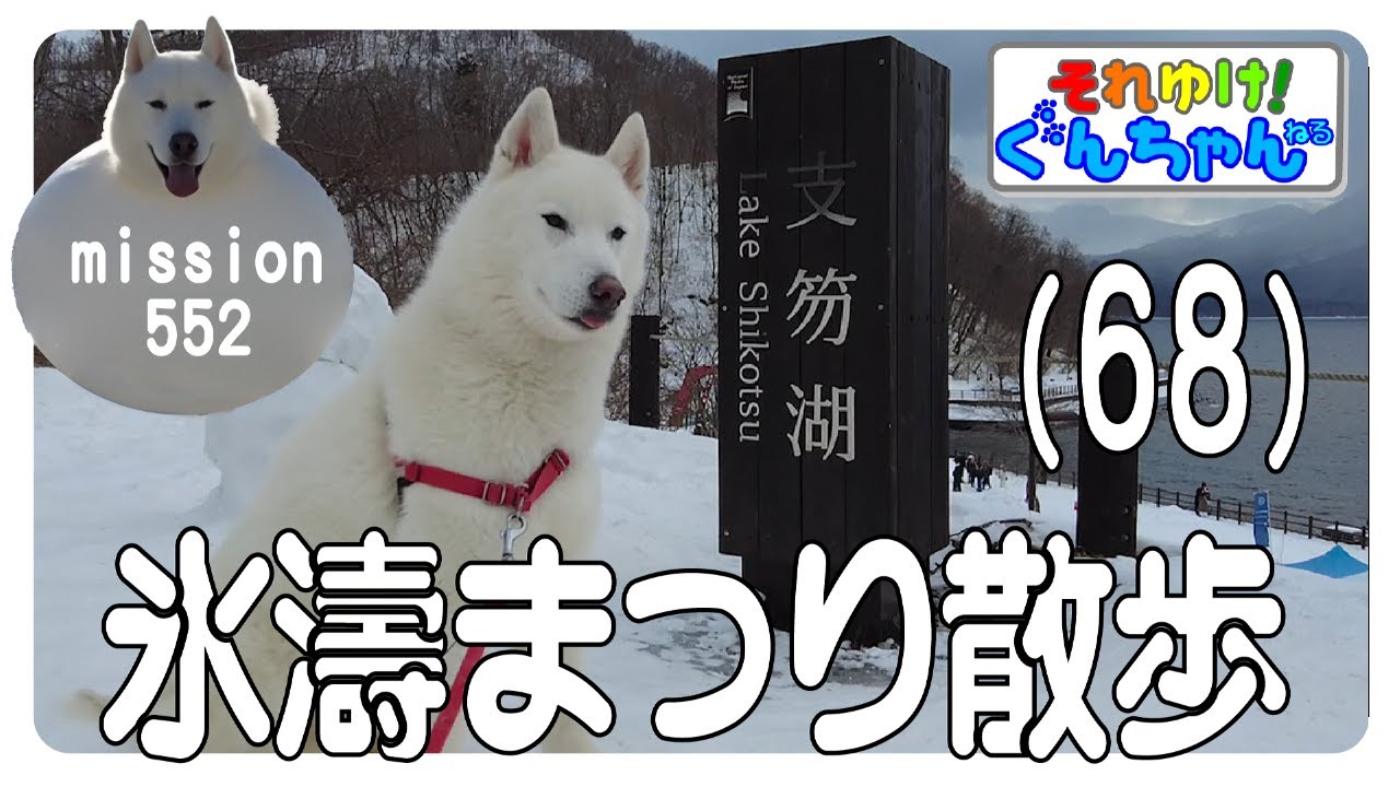 ぐんちゃんの氷濤まつり散歩68