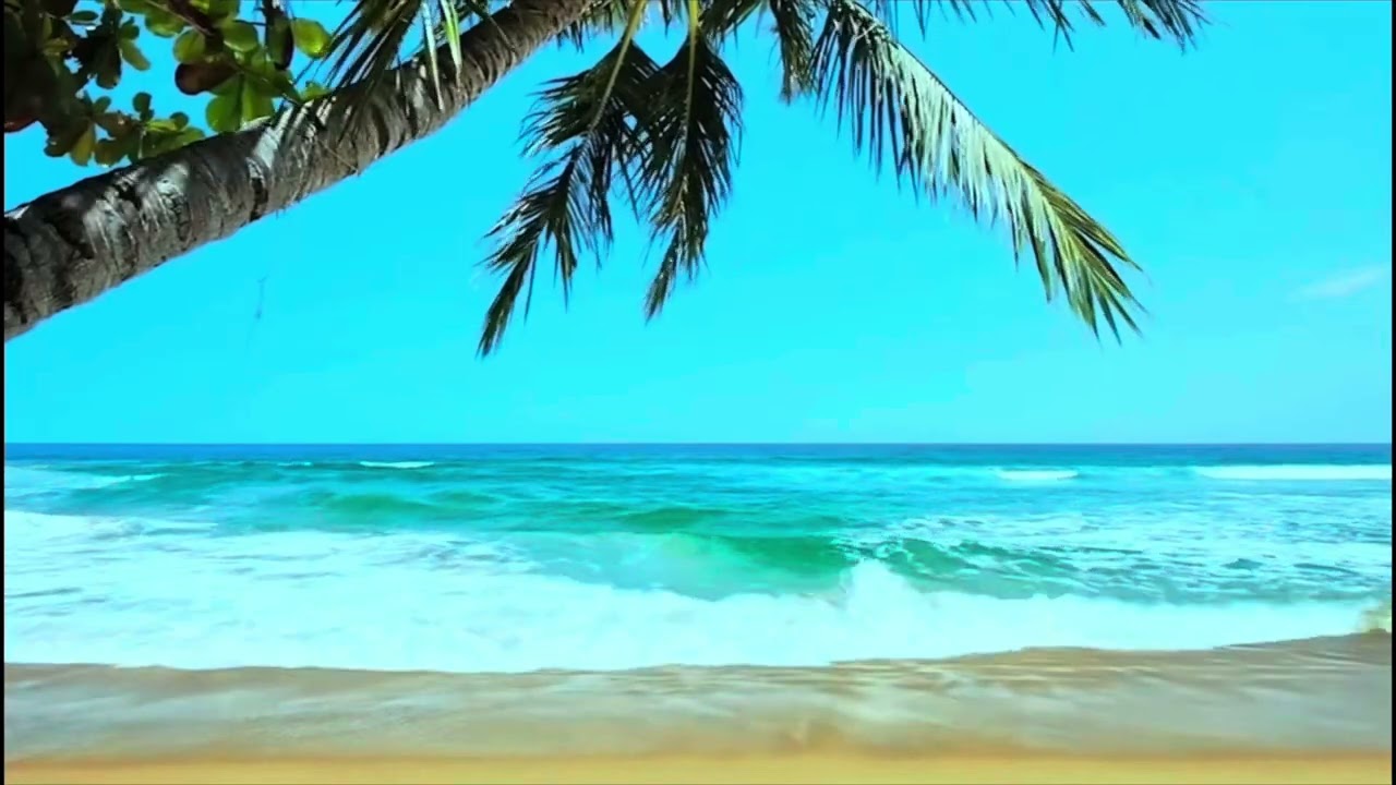 Lệ Đá || St: Trần Trịnh phổ thơ Hà Huyền Chi || Cover: Hạnh Duyên 