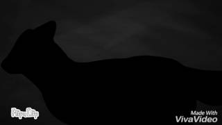 Early christmas sketch animation