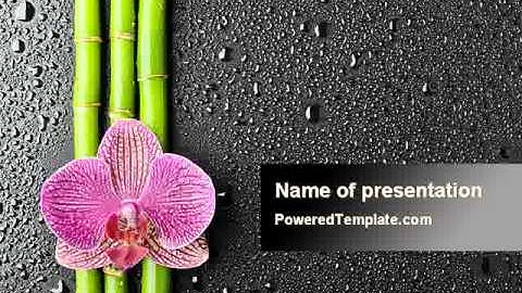 Orchid On Bamboo PowerPoint Template by PoweredTemplate.com
