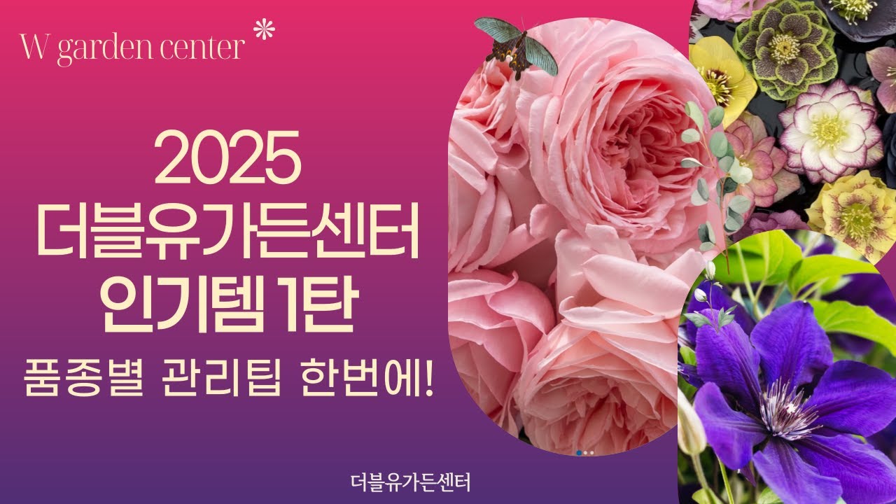 2025 더블유가든센터 인기품종 1탄 ｜관리팁까지 한 번에