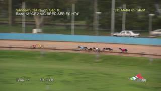 SAP SUN 25 SEP 16 R12