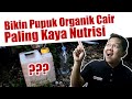 Mudah banget membuat pupuk organik cair poc paling kaya nutrisi  zat perangsang tumbuh