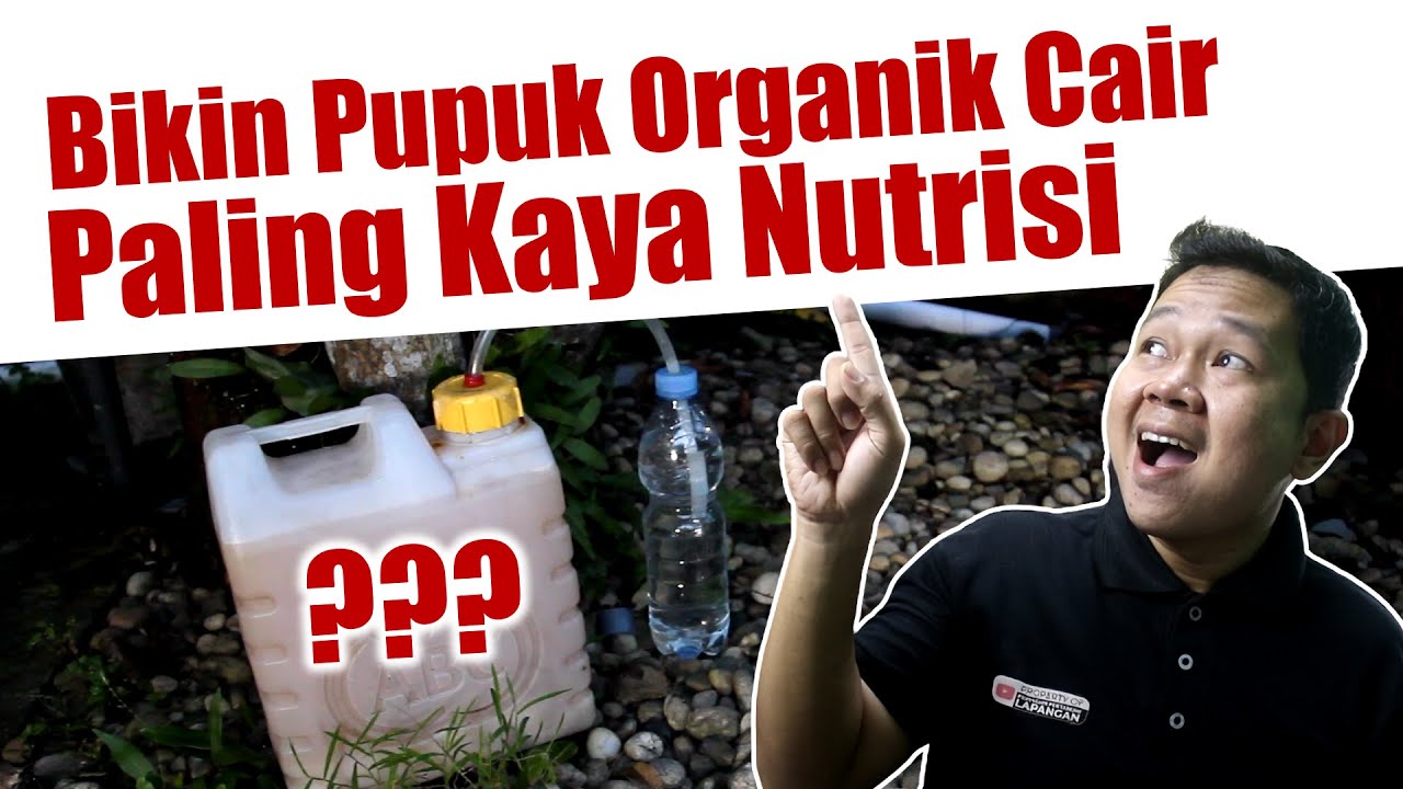 Mudah Banget..!!! Membuat pupuk organik cair (POC) paling kaya nutrisi | Zat Perangsang Tumbuh