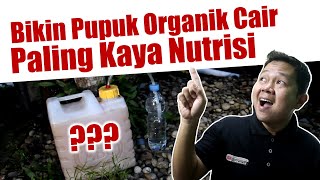 Mudah Banget..!!! Membuat pupuk organik cair (POC) paling kaya nutrisi | Zat Perangsang Tumbuh