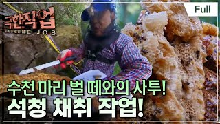 [Full] 극한직업  가을 산의 대물! 석청과 버섯