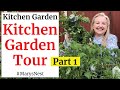 Kitchen Garden Tour - Starting Over from Scratch After the Texas Storms!