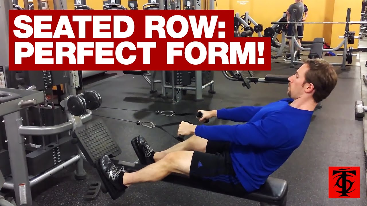 Seated Row Eccentric Isometrics training force