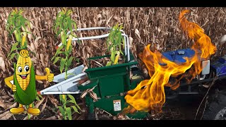 Уборка кукурузы мотоблоком сезон 2019 -Harvesting corn with a walk-behind tractor(tiller) ENG-SUB