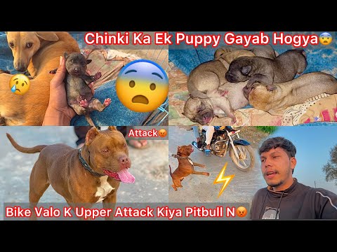 Sveta Bukina bilan qattiq jinsiy aloqa Porno singlisi va ukasi tabuni buzdi