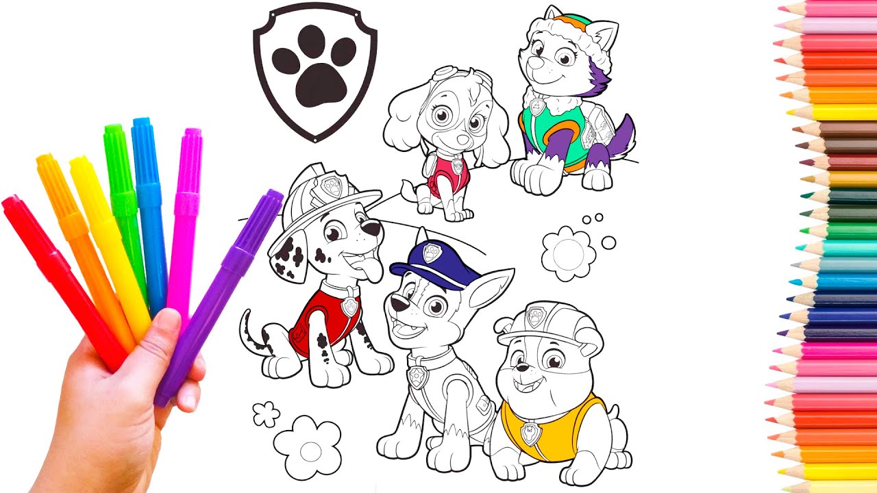 Rubble patrulha canina pintando desenhos #pintando #colorindo #pintar