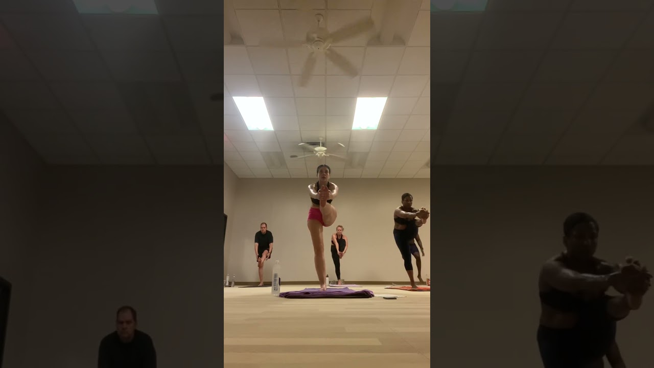 84 Asana, Standing Head To Knee (no hands)