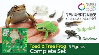 Nature Techni Colour Mini Figure Magnet Japanese Tree Frog vocal sac Ikimon 