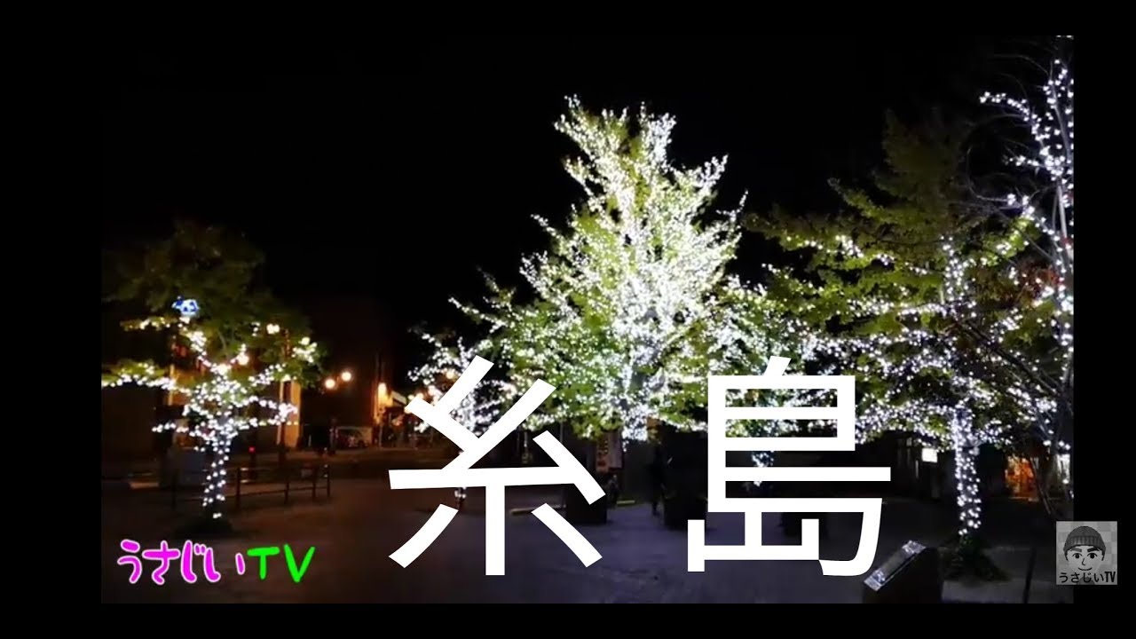 丸田池公園 イルミネーション 22年 祭の日
