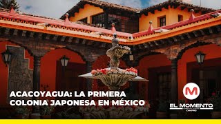 Acacoyagua: la primera colonia japonesa en México