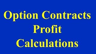 Option Contracts - Profit Calculations