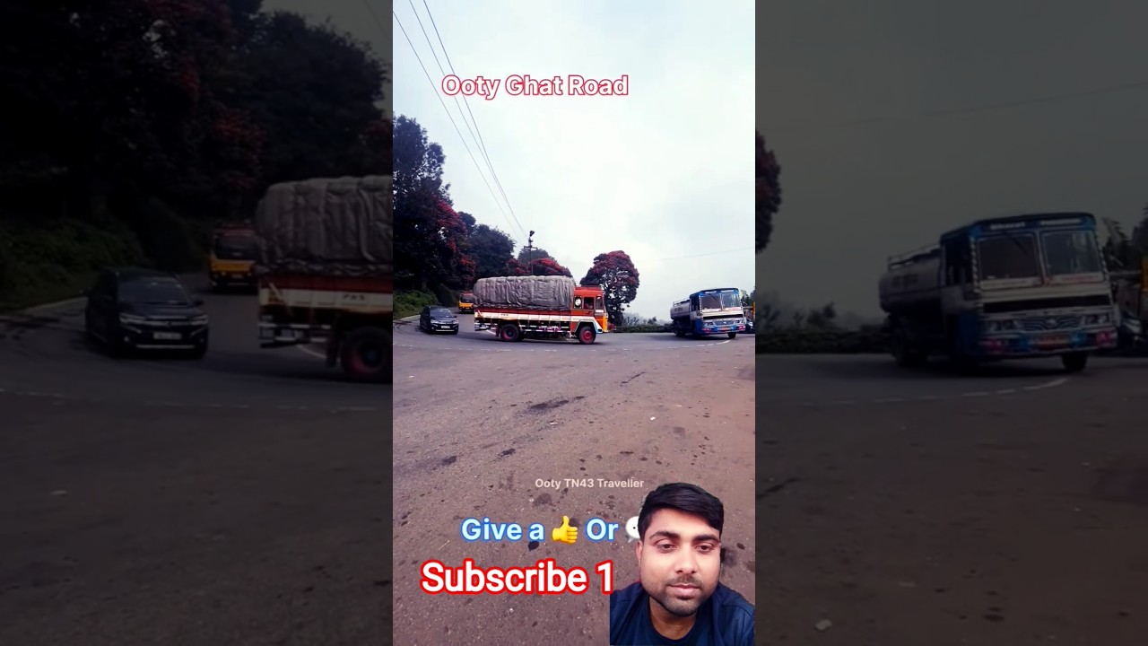 Indian truck driver skill overtaking granted 