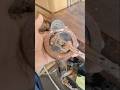 Silai Machine Ki Hathi Lagne Ka Tarika | Silai Machine Repair #sewingmachine