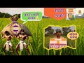 प्रभात सीड्स -राइडर 2007 || Prabhat Seeds- Ryder2007 Farmer Feedback