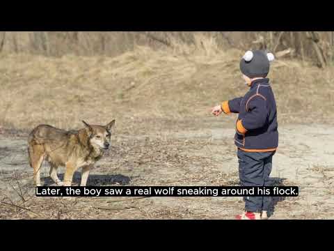The Boy Who