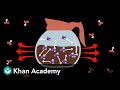 First and second laws of thermodynamics | Thermochemistry | High school chemistry | Khan Academy