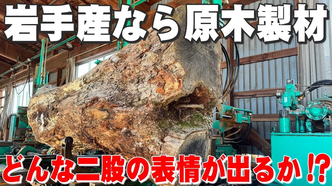 二股ナラ原木】なら原木から一枚板を製材しました。【木の店さんもく 