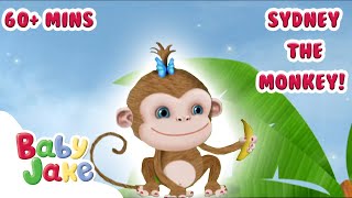 @BabyJakeofficial  - 1+ Hour of Sydney the Monkey! 🐒🐵  | Full Episodes | Yacki Yacki Yoggi