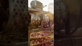 👉 Onion Drying Machine 😳🔥 #Shorts #subscribe #share #viral