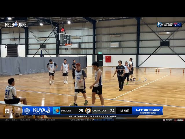 Round 8 | Dingoes v Cockatoos | FULL GAME | SOCIAL BASKETBALL SEASON V
