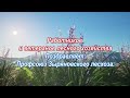 День работников леса 2