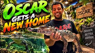 My Caiman Was Ready for a BIG Upgrade! 🐊😳