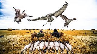 2 DAYS 2 MAN LIMITS! CRANE DUCKS AND GEESE!(Clean and Cook)