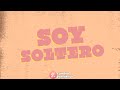 Video thumbnail of "El Dipy - Soy soltero │ Video Lyric 2020"