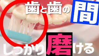 シンプルだけど歯周病ケアにおすすめの歯ブラシ【システマ/Systema】