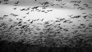 Ahmet Koc Işte Biz O Gun Tükeneceğiz (Instruments)