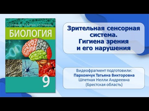 Сенсорные системы. Тема 11. Зрительная сенсорная система. Гигиена зрения и его нарушения