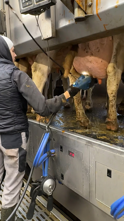 🐄✨ From Cleaning to Innovating: A Day in the Life of Modern Farm Girls