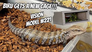 My Blue Tongue Skink gets a cage upgrade! Vision cage model 221 review/setup