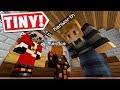 Minecraft HIDE & SEEK EXCEPT WE'RE TINY!