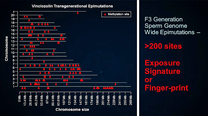 Ancestral ghosts in your genome | Michael Skinner ...