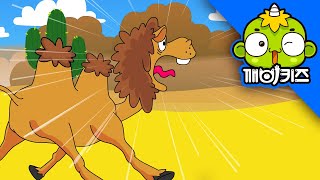 낙타를 구해줘 | 알랑이 동물구조대 | 깨비키즈 KEBIKIDS