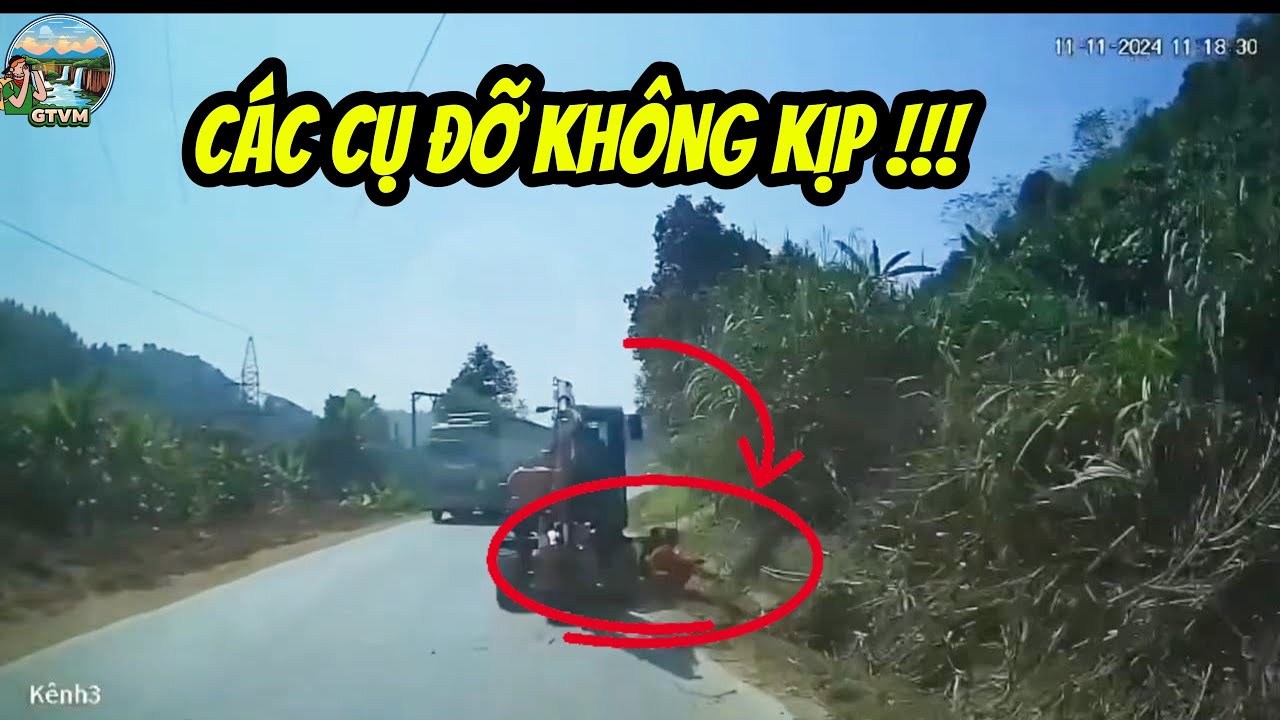 ĐÓNG THẾ NÀY THÌ ĐÚNG NGHỀ LÓ NHỌ CÁC THÁNH Ạ