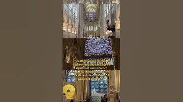 The amazing Notre Dame #paris #shorts