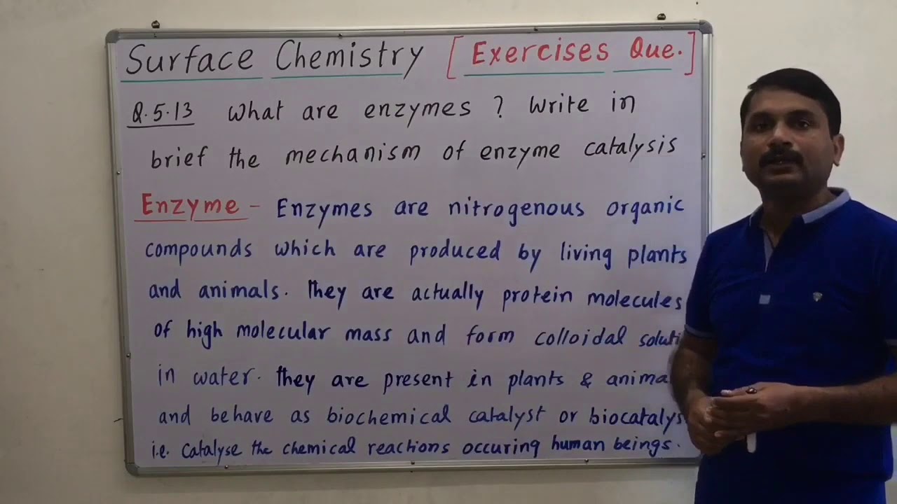 Enzyme And Mechanism Of Enzymes Class 12th Surface Chemistry YouTube enzyme-and-mechanism-of-enzymes-class-12th-surface-chemistry-youtube