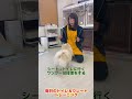 トイレ&クレートトレーニングのやり方。トイレに行くことと排泄の指示は分けて教えると便利♪