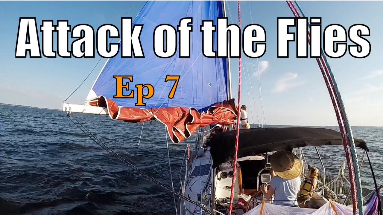 Sailing Wisdom: Attack of the Flies | Ep 7