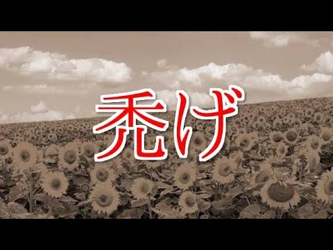 花　ORANGE RANGE【替え歌】禿げ