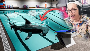 Tại sao lại có CÁ MẬP khổng lồ trong bể bơi trường tôi?! \\ Sharks and Minnows